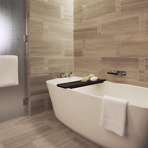 King Room Accessible Shower Disability Access